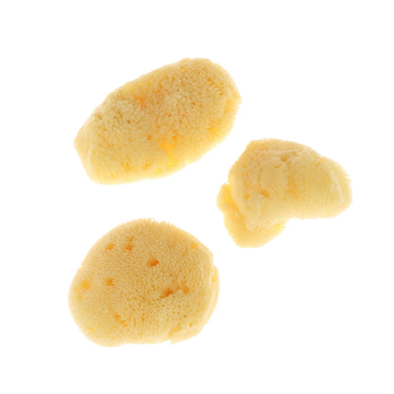 Special Texture Production Cleaning Tool Natural Greek Sponge Watercolor Painting With Absorbent Sponge Wiping Pen Painting view 5