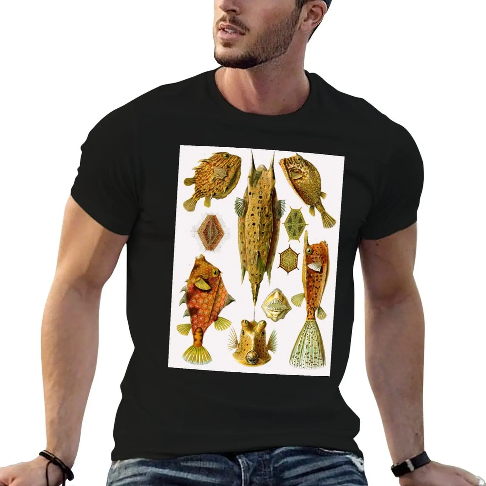 

Plate 42. Ostraciontes, the old name for boxfish, or cowfish. T-Shirt graphic t shirts boys whites mens fashion