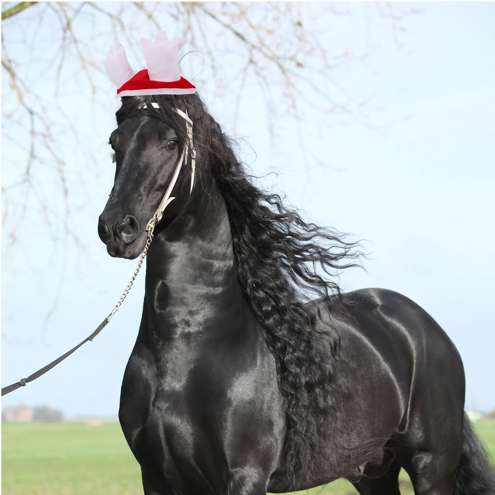 

1Set Christmas Horse Costume Decoration Set Santa Hat Leg Wraps Holiday Parade Party Supplies Horse Party Supplies