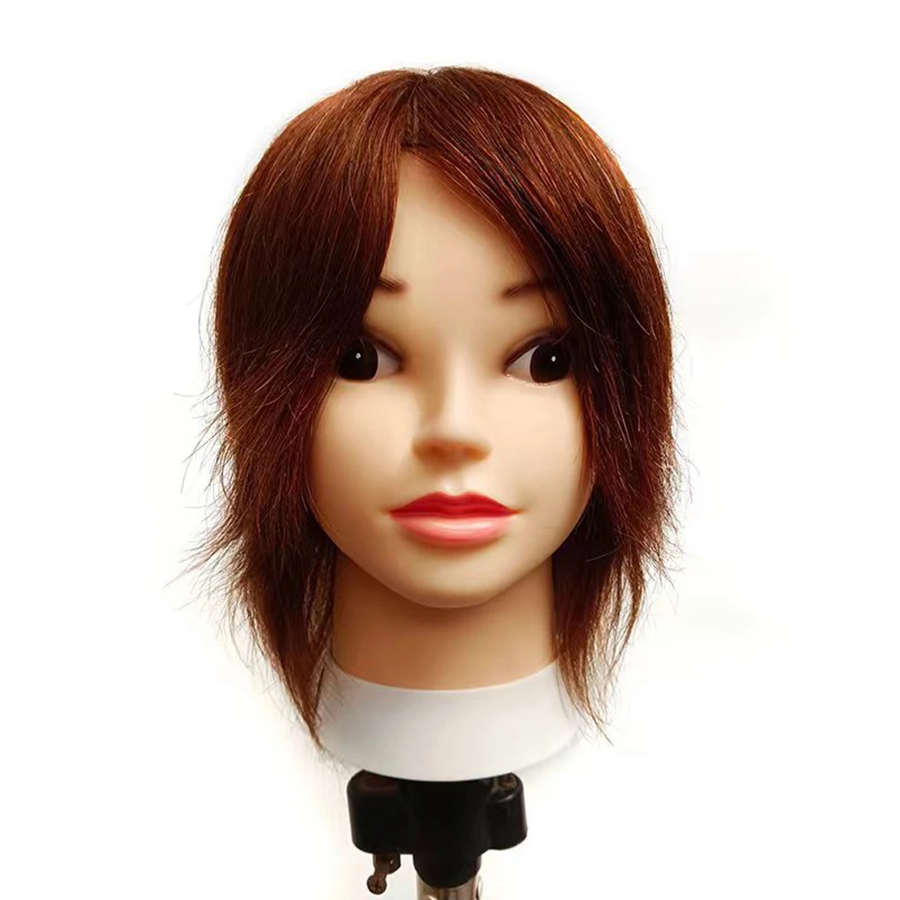 

Professional Female Mannequin Head with 100% Human Hair Black/Brown for Hairdresser Cosmetology Training Hairstyle Practice Doll