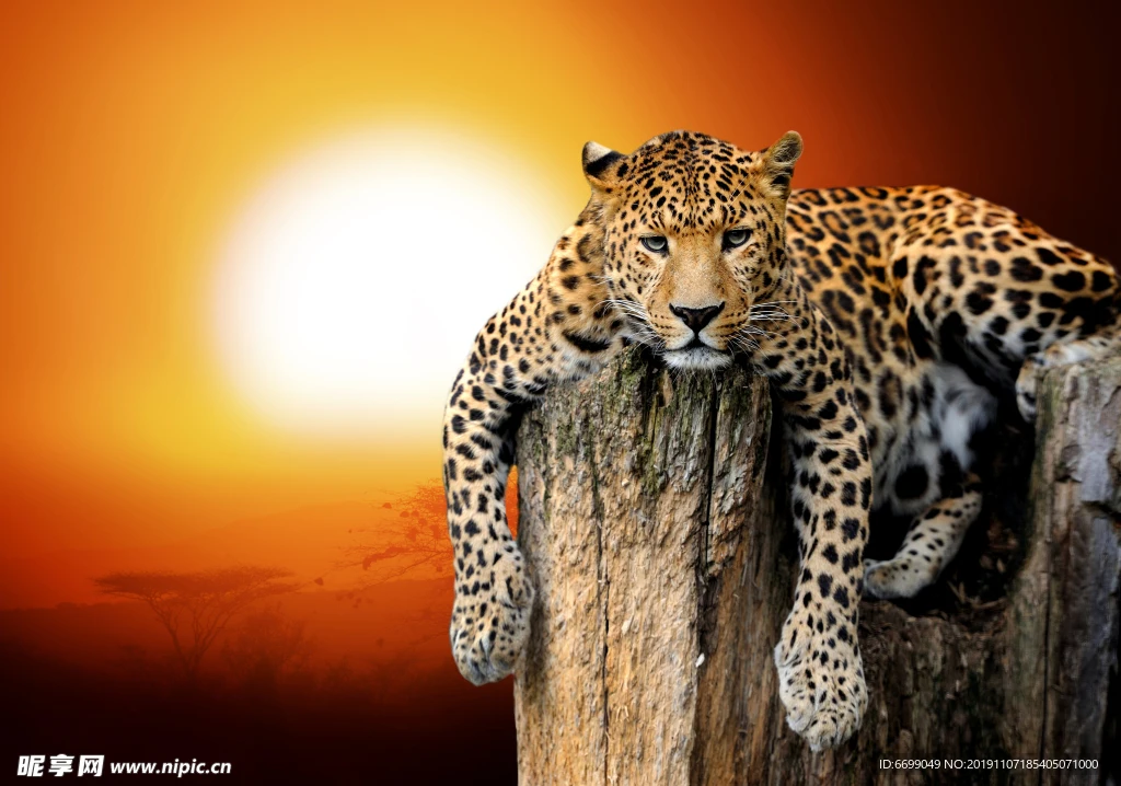 

Upgrade RC Car Spare Parts Large Tires Widening Tires for WLtoys 144001 124017 124016 124018 124019