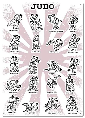 

Judo Techniques Dojo Decor Metal Tin Signs,Martial Arts Colorfast Posters, Decorative Signs, Wall Art, Home Decor - 8X12 Inch (