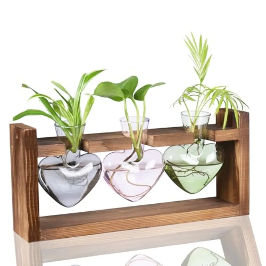 3-Heart Plant Terrarium Kit - Stained Glass Vase Propagation Station with Vintage Wood Stand - Wall-Mounted and Tabletop Indoor