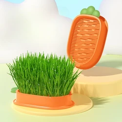 Cat Grass Hydroponic Box Cat Snacks Seed Planting Kit Separation Soilless Hydroponic