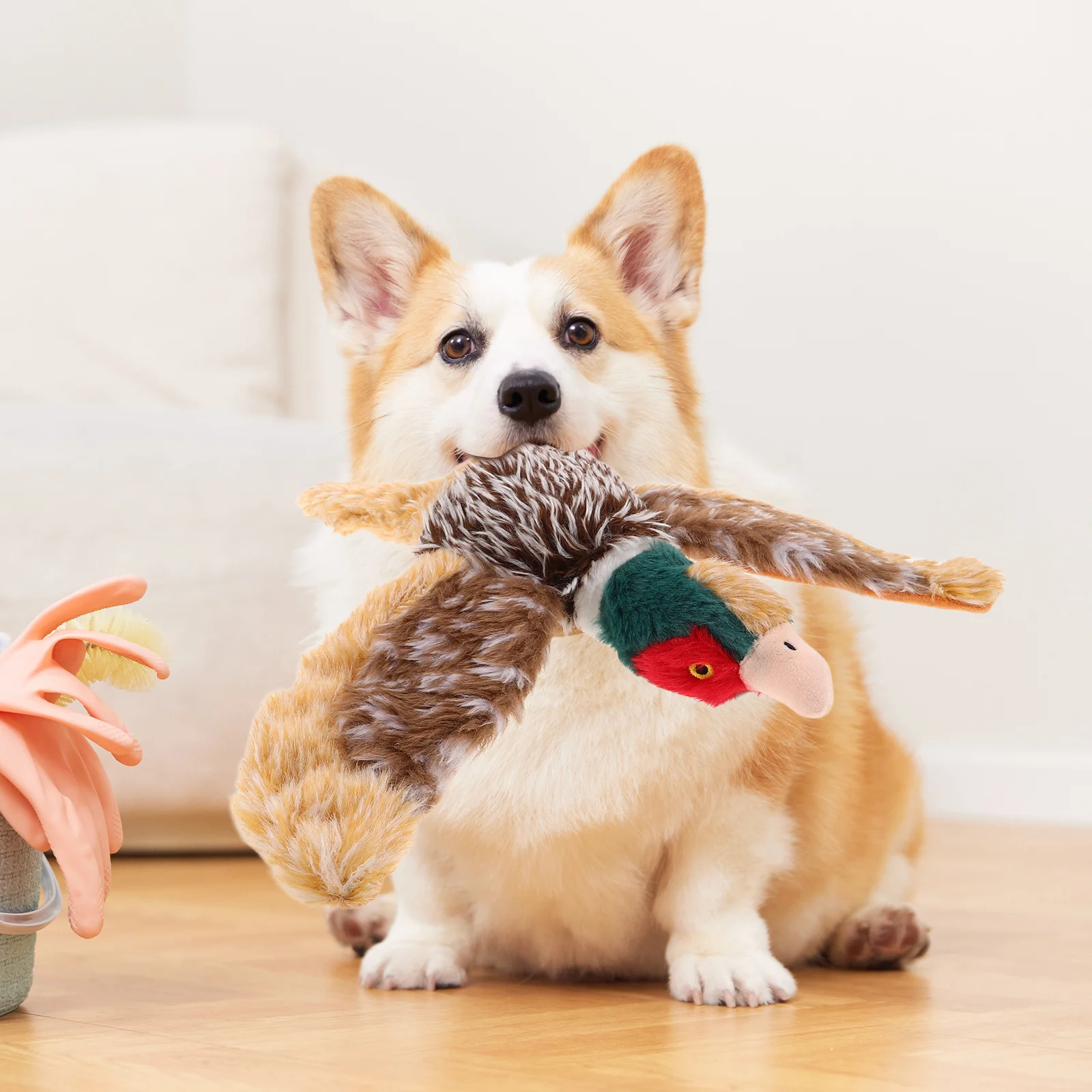 

Squeaky Dog For Puppies Realistic Chew Resistant Pet For Small Medium Dogs Indoor Play Puppy Teething