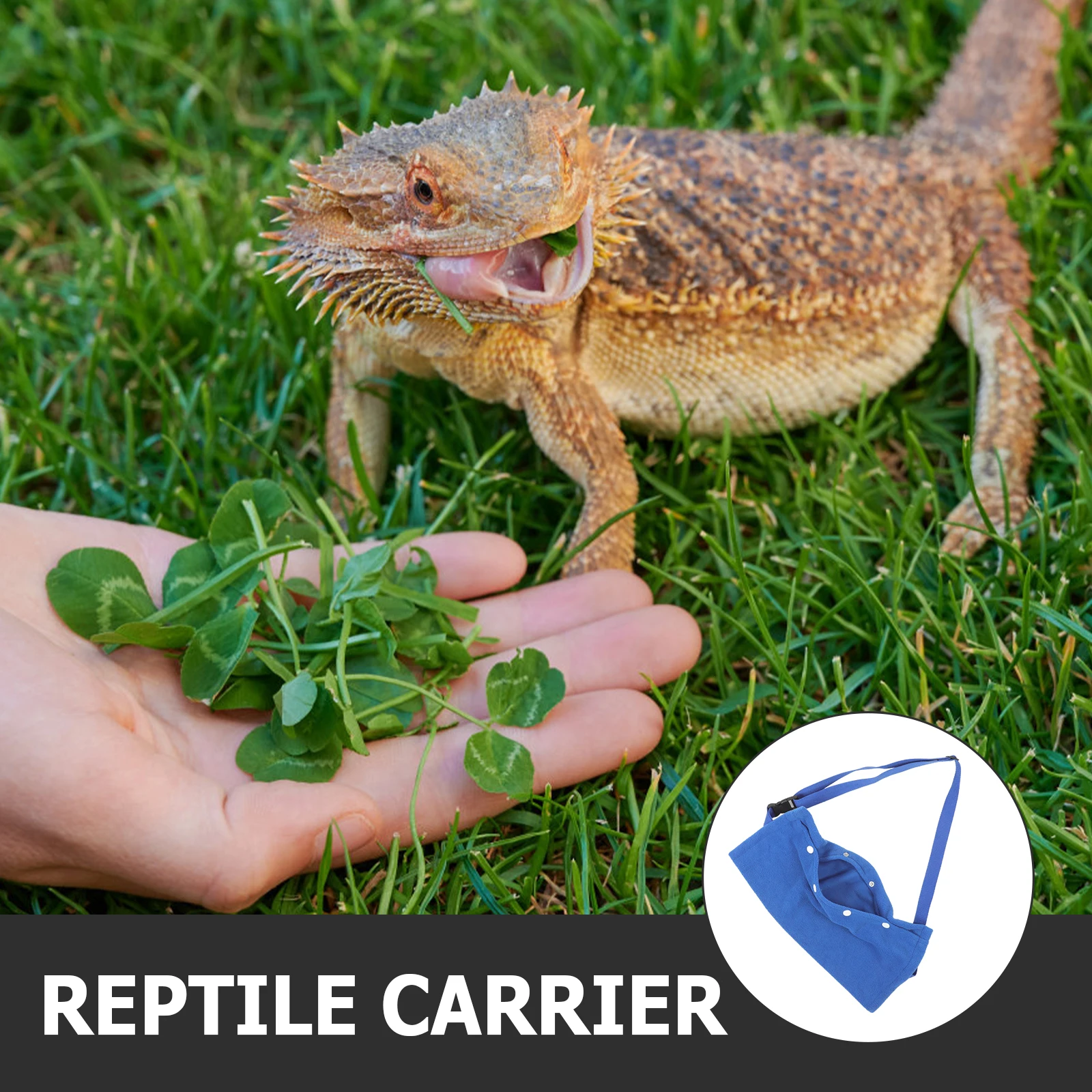 Portable Reptile Carrying Bag Soft Flannelette Material Breathable View Window for Lizard Chinchilla Guinea Pig Bearded Dragon