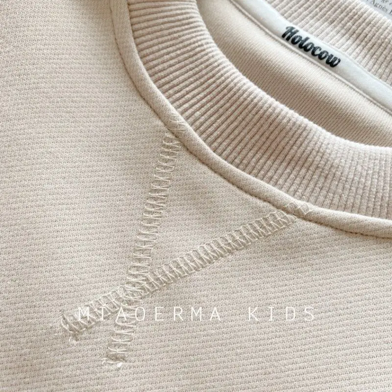 Spring Solid Sweatshirt 2024 New Kids Long Sleeve Cotton Pullover Autumn Children Clothing Fashion Loose Casual Tracksuits 2-8 Y