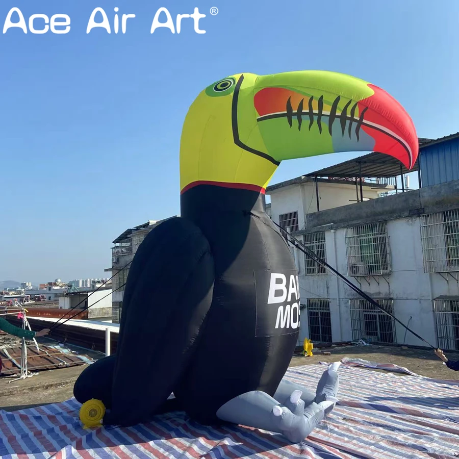 Inflatable Bird Toucan for Decoration Giant Animal Model for Tropical Themed Event