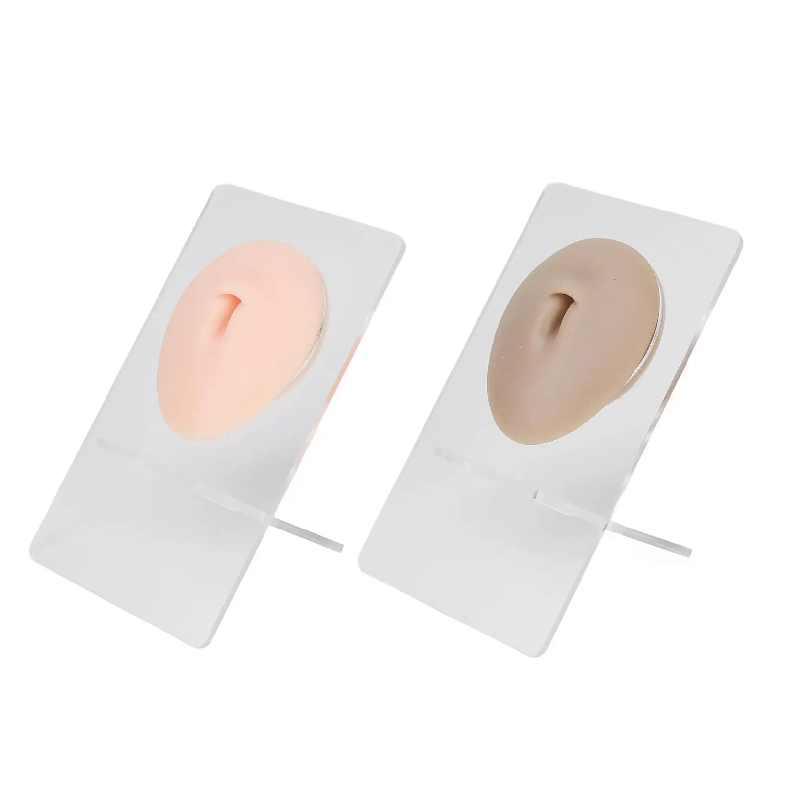 Light Skin Silicone Belly Model Display Bracket - Improve Skills, Reusable 3D Model for teaching Use (2 Sets)