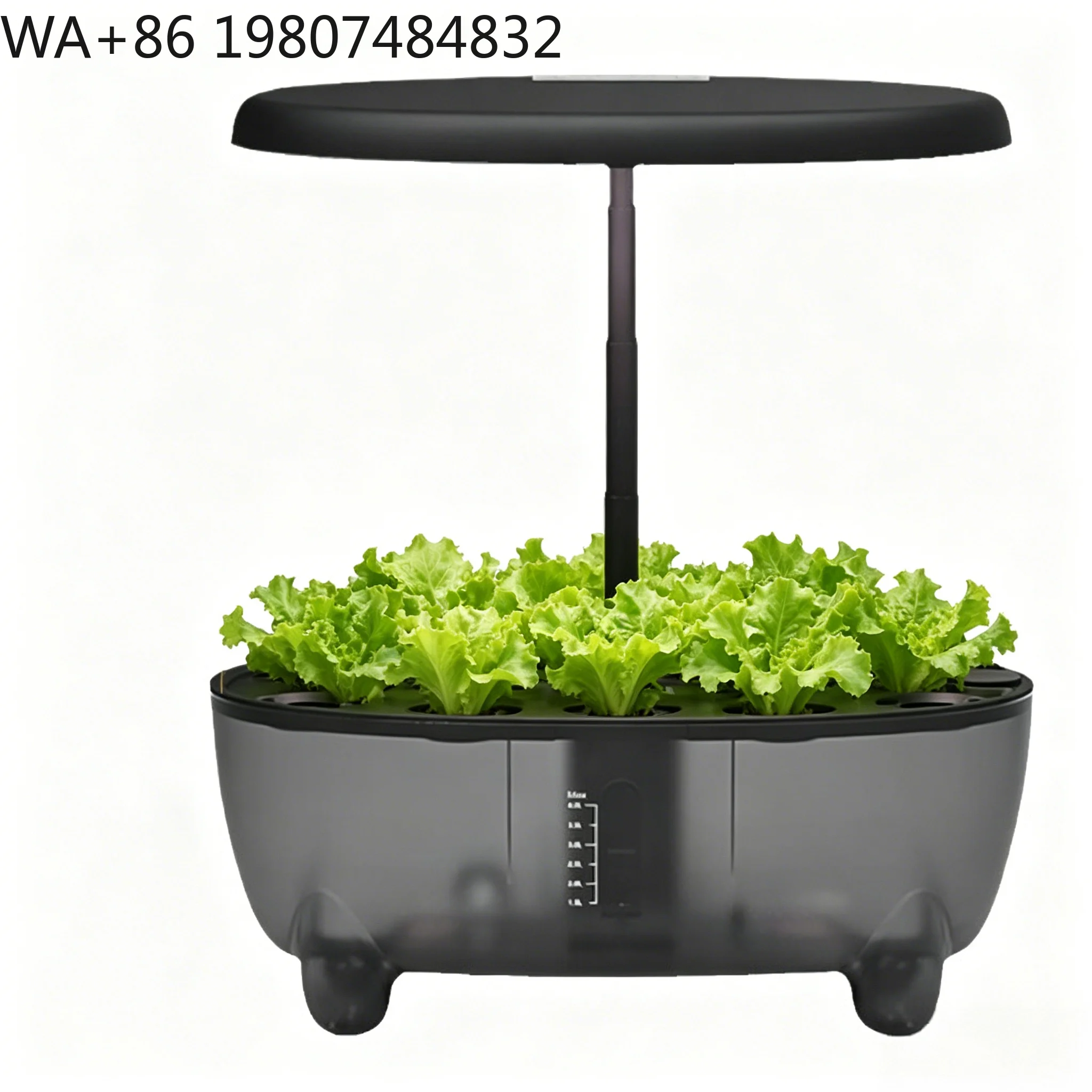 12-hole Automatic Desktop Soilless Germination Box Full Spectrum LED Fill Light  Indoor Balcony Herb Vegetable Soilless