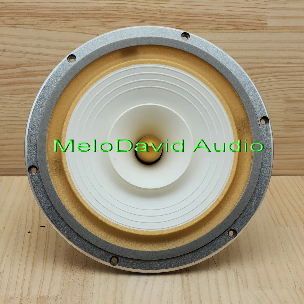 MeloDavid Audio Fast10 Mk2 10-Zoll-Fullrange-Lautsprecher 2026 neue Version