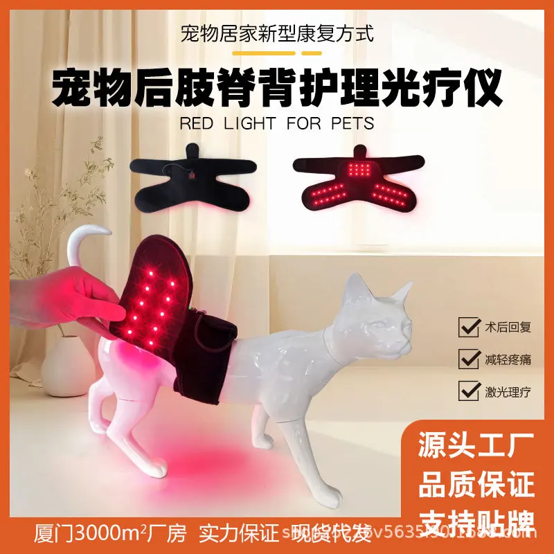 Pet red light physiotherapy pad universal to relieve joint patella postoperative rehabilitation health care infrared