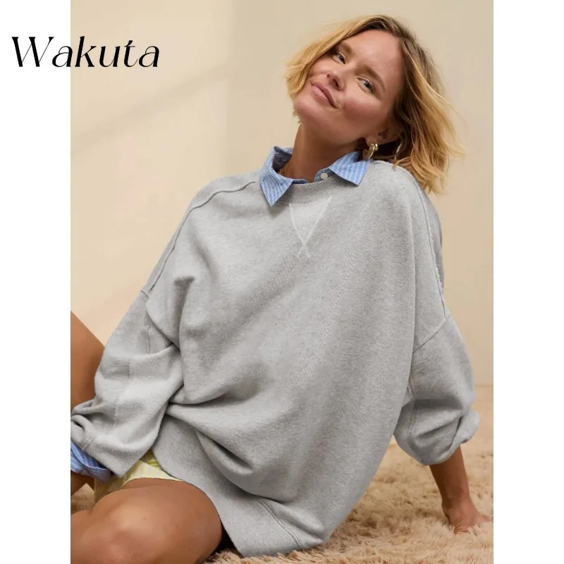 

WAKUTA Fashion Round Neck Long-sleeved Loose Hoodies Casual Commuter Pullover Senior Sense of Streetwear Maillard Clothes Fall