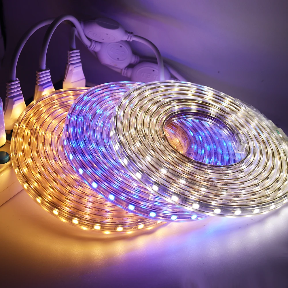 5050 SMD LED Light Strip 220V 110V Waterproof 60LEDs Flexible Tape Ribbon With ON/OFF Dimmer Switch Plug Waterproof Stripe Rope