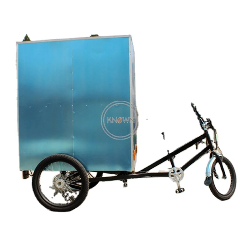 250W Electric Cargo Bike Three Wheel Adult Tricycle Pedal Bicycle Courier ReverseTrike with Big Cabins