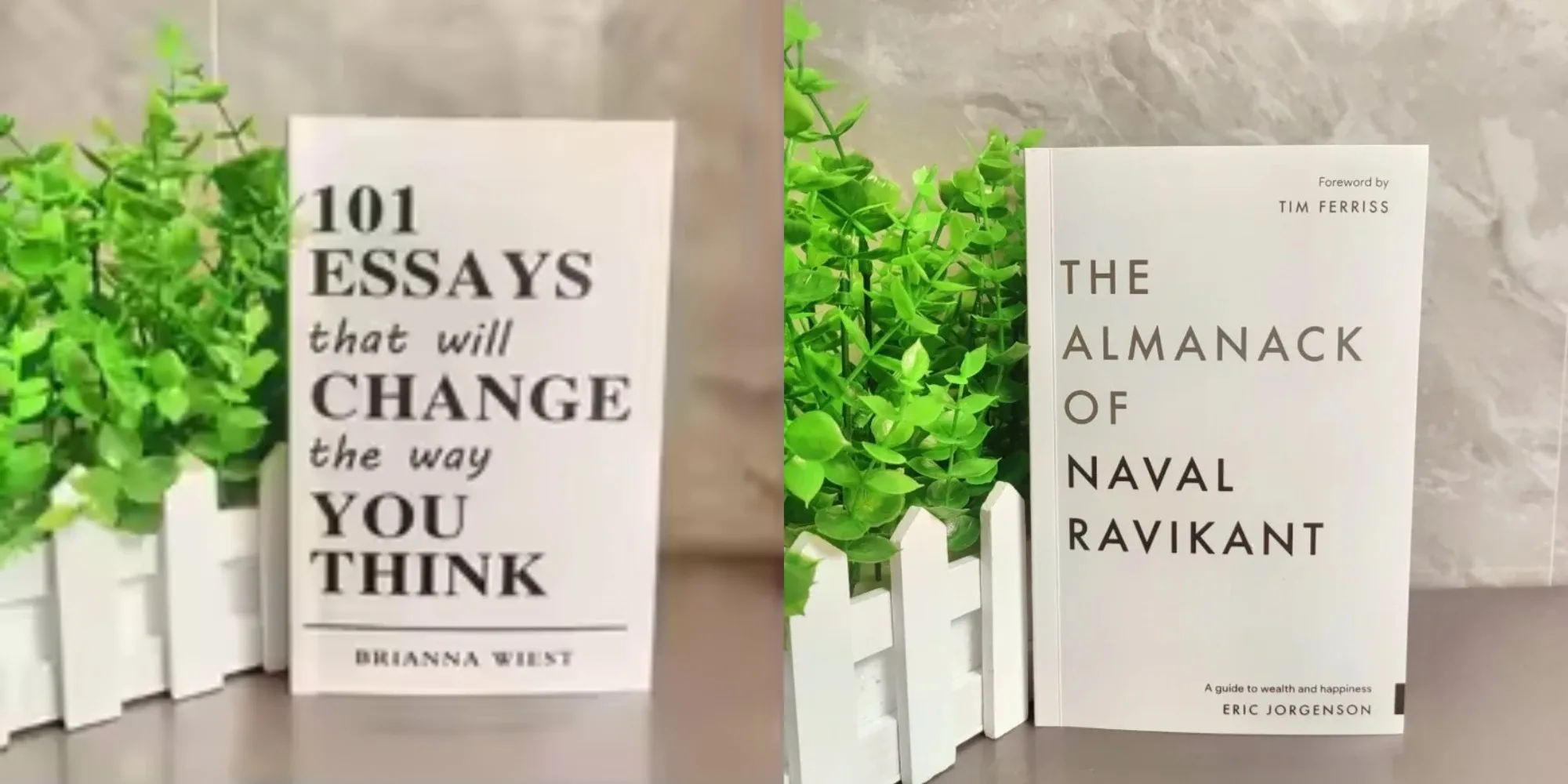 Wealth & Happiness: Timeless Principles from The Ravikant Navaar Almanack