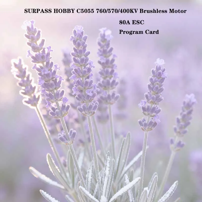 

SURPASS HOBBY C5055 760KV 570KV 400KV Brushless Motor 80A ESC Program Card for Fixed-wing Aircraft Palne Multicopters FPV Drone