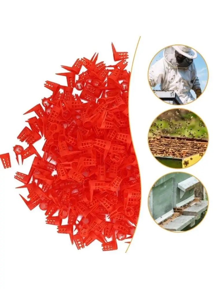 20Pcs Bees Comb Push In Queen Cell Protector Queen Bees Cage Bees Queen Protective Caps Plastic Opening Queen Bees Covers