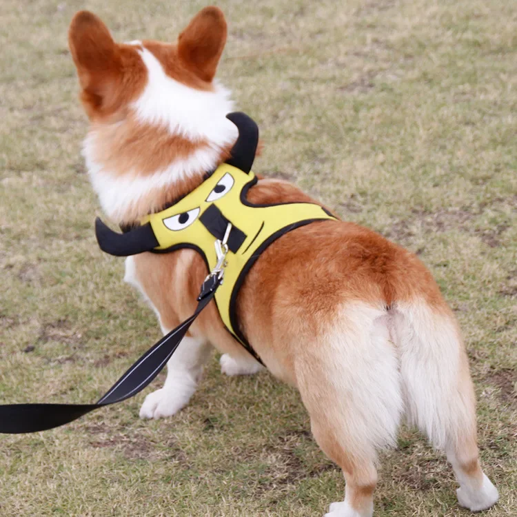 

Dog Collar Pet Supplies Dog Chest Strap Leash Teddy Shiba Inu Corgi Adjustable Elastic Walking Dog Harness and Leash Set