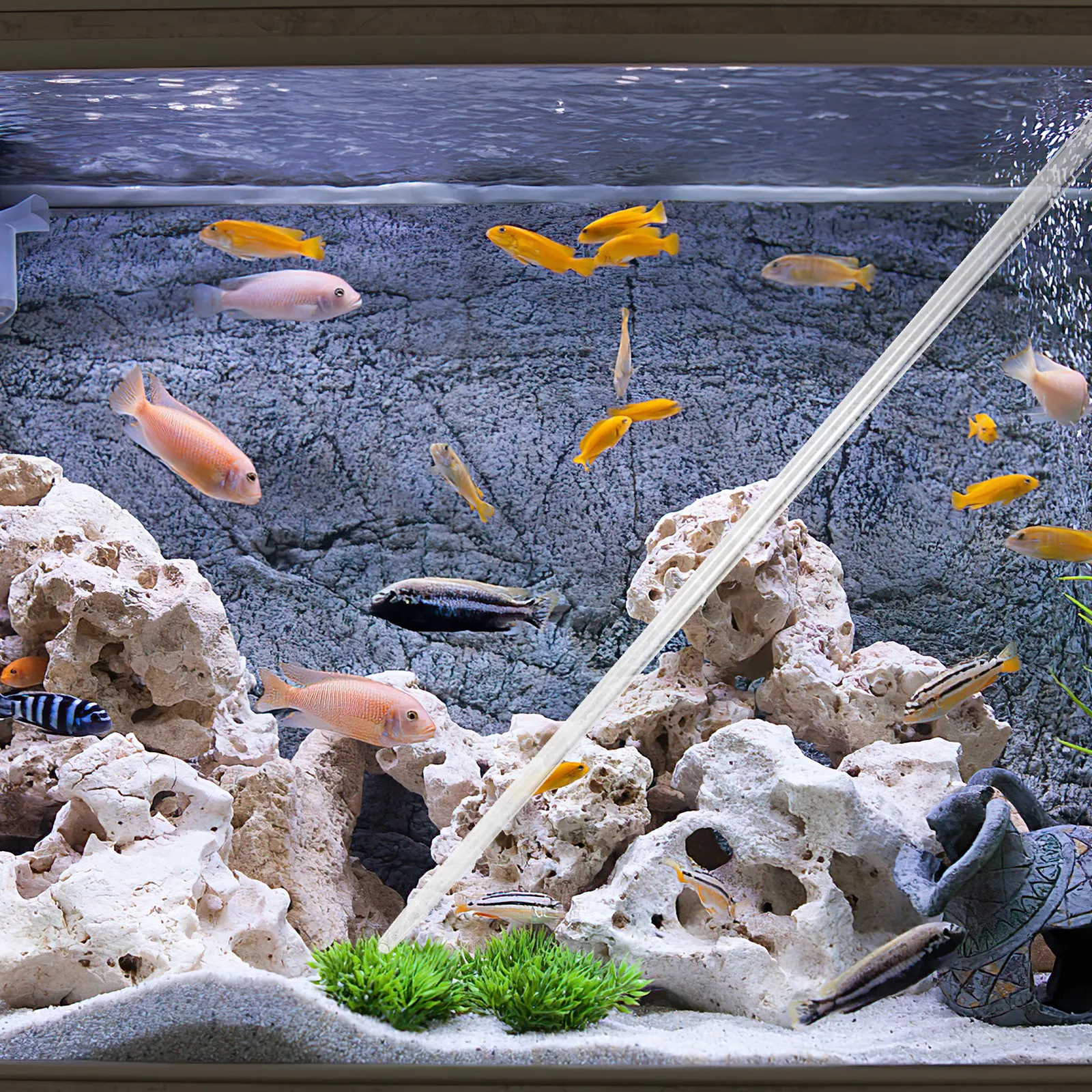 Strumento di Alimentazione per - Marine Aquarium Youtube recensione e prezzo