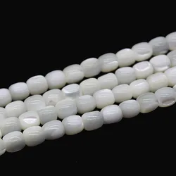 Natural White Barrel Trochus Niloticus Top Shell  Round Beads For Jewelry Making DIY Bracelet Necklace  6 8 10MM Strand 15''