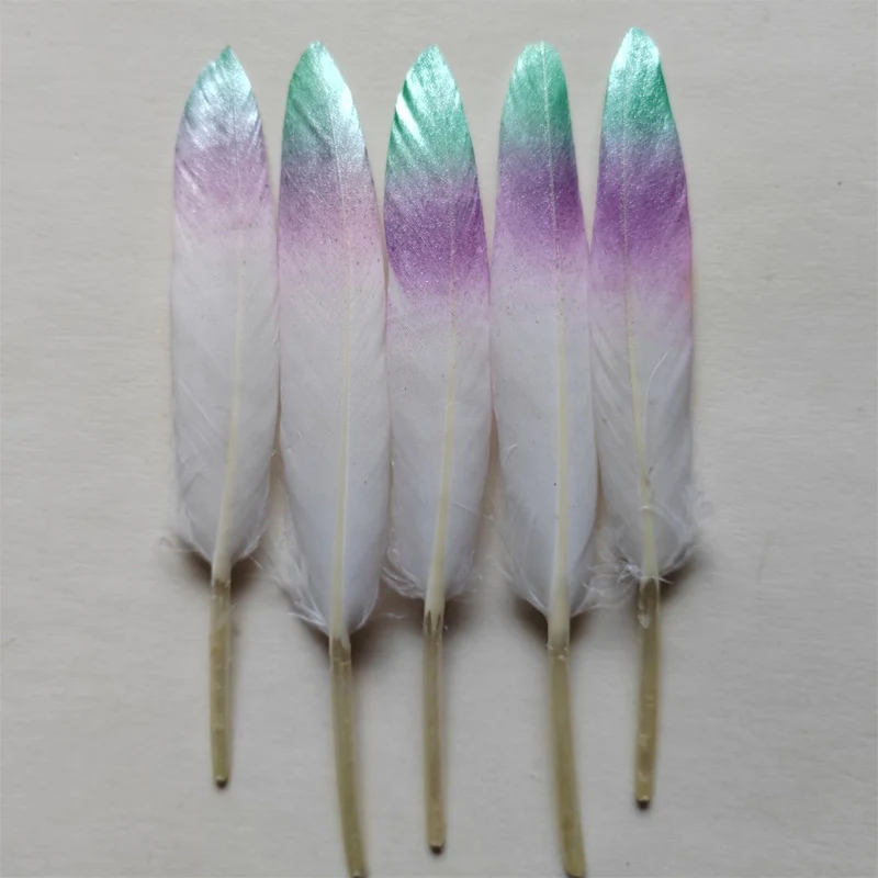 20 قطعة 10-15 سنتيمتر ريش أوزة مطلي ، ريش بطة بلونين ، زينة الزفاف ، بلوماس ، 5 ألوان متاحة