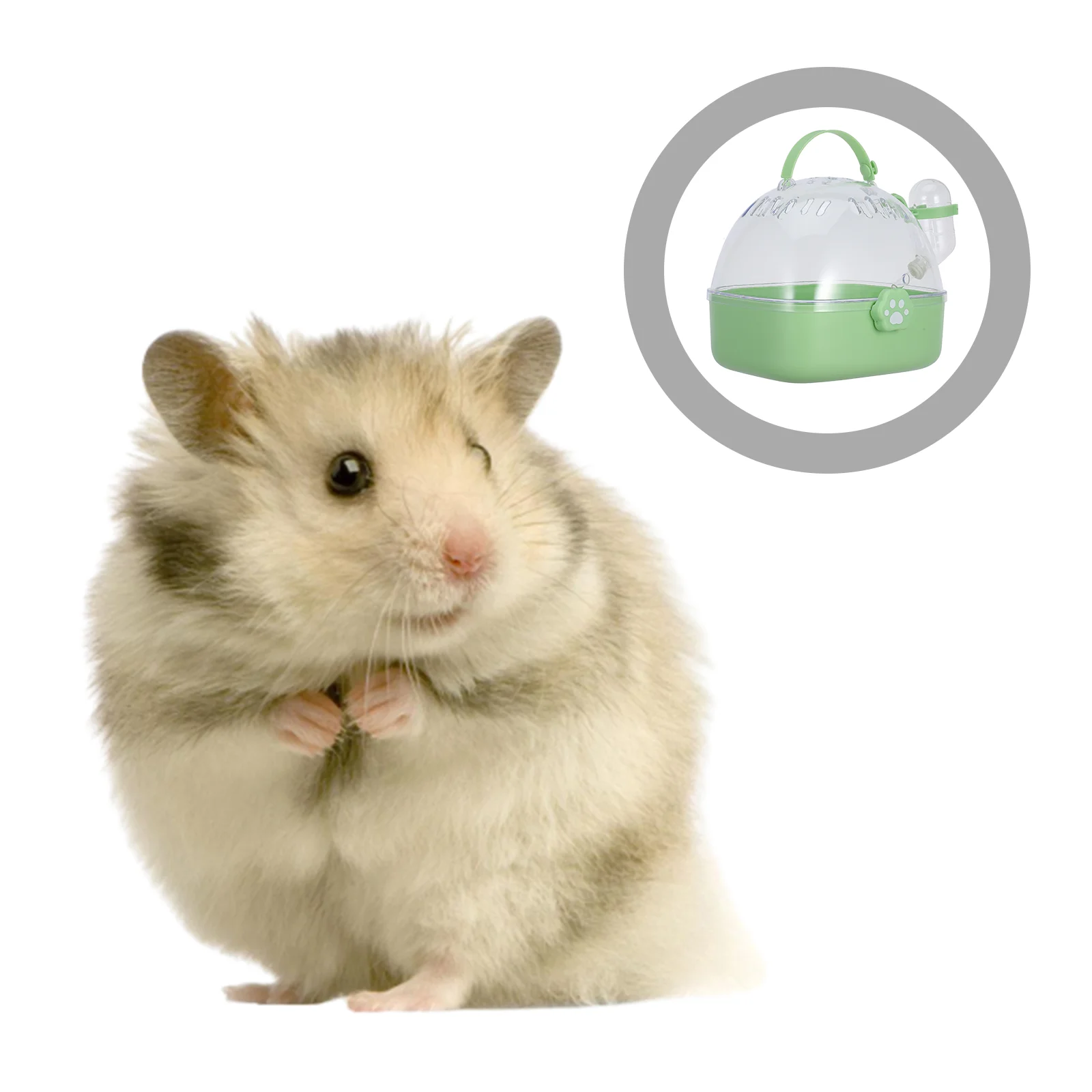 

Portable Hamster Cage Ferret Travel Water Bottle Light Green Abs Bunny Essentials