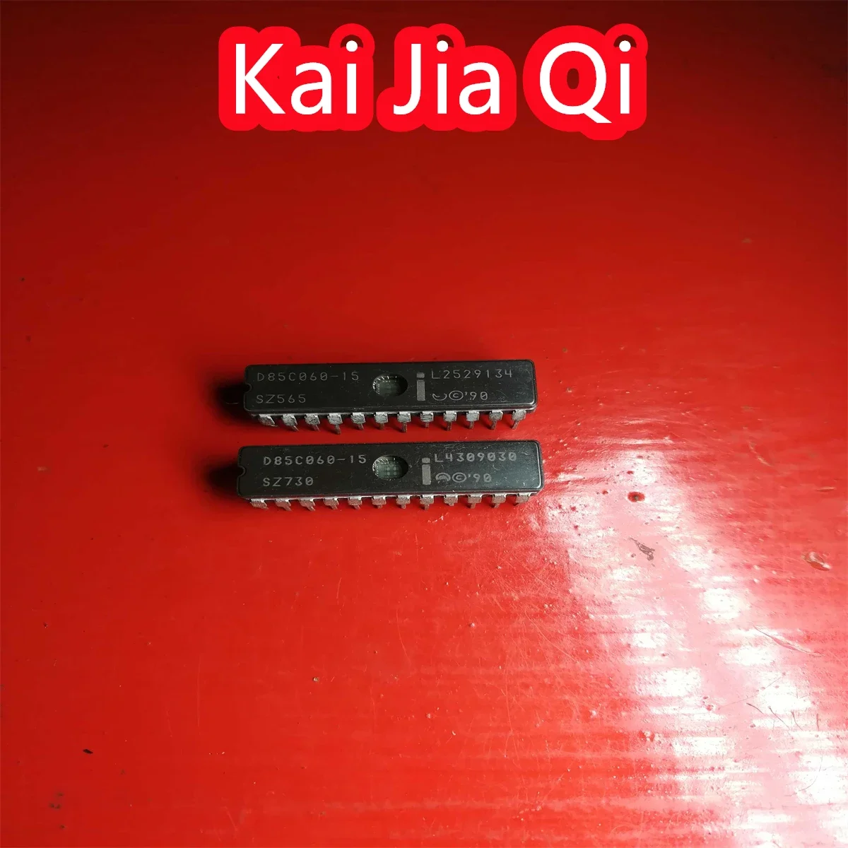 Puce IC D85C060-15