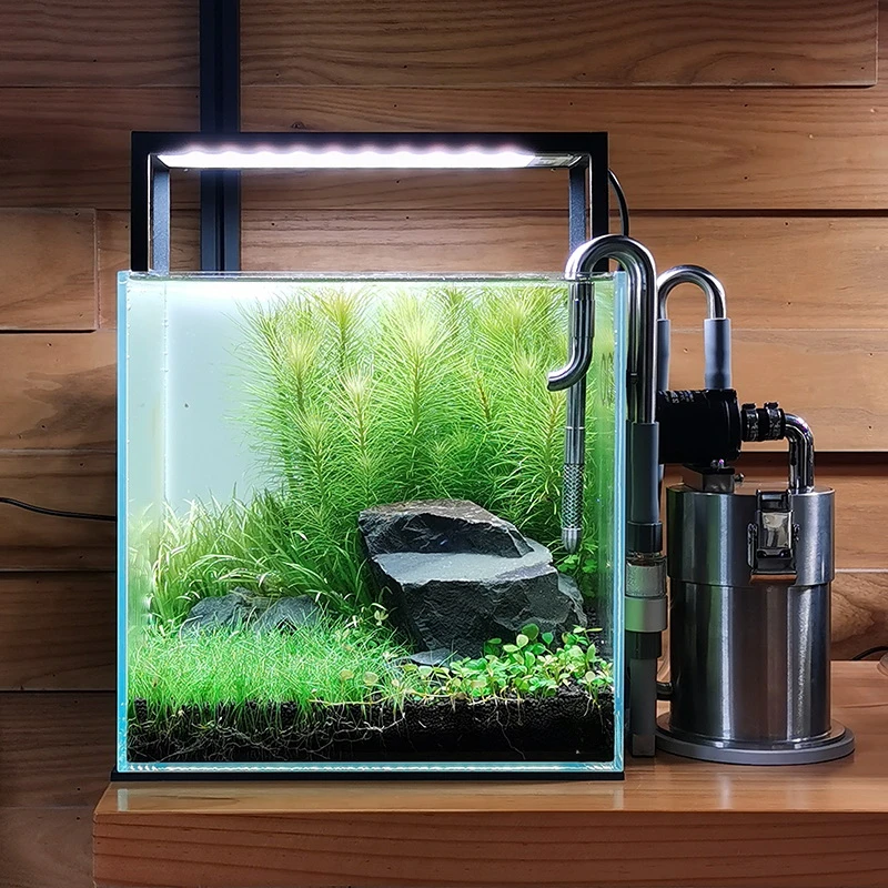 Stainless Steel Filter Bucket Desktop Bucket Small Fish Aquarium Micro Aquarium External Filter Desktop Aquarium Micro Landscape