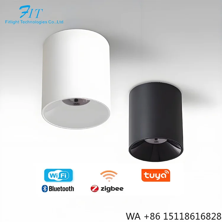 dali-dimmer-led-smart-downlight-surface-mounted-15w-zigbee-trimless-dmx-knx-dali-wifi-downlight-smart-home-australia