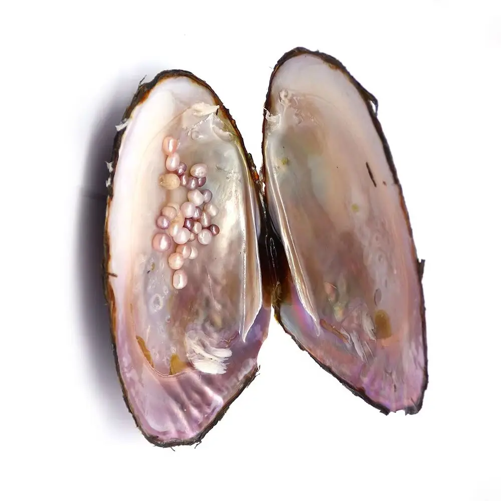 

Natural Large River Mussels with Random Color/Shape/quantity Freshwater Pearl Beads For DIY Necklace Bracelet Earring Jewelry