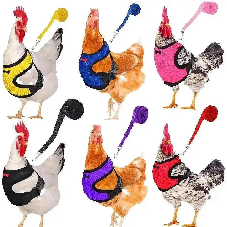 Gilet de canard et de poulet, 1 pièce, ceinture de poule, harnais pour animaux de compagnie, colliers assortis, nœud, fils confortables, respirant, fourniture pour volaille, vente en gros
