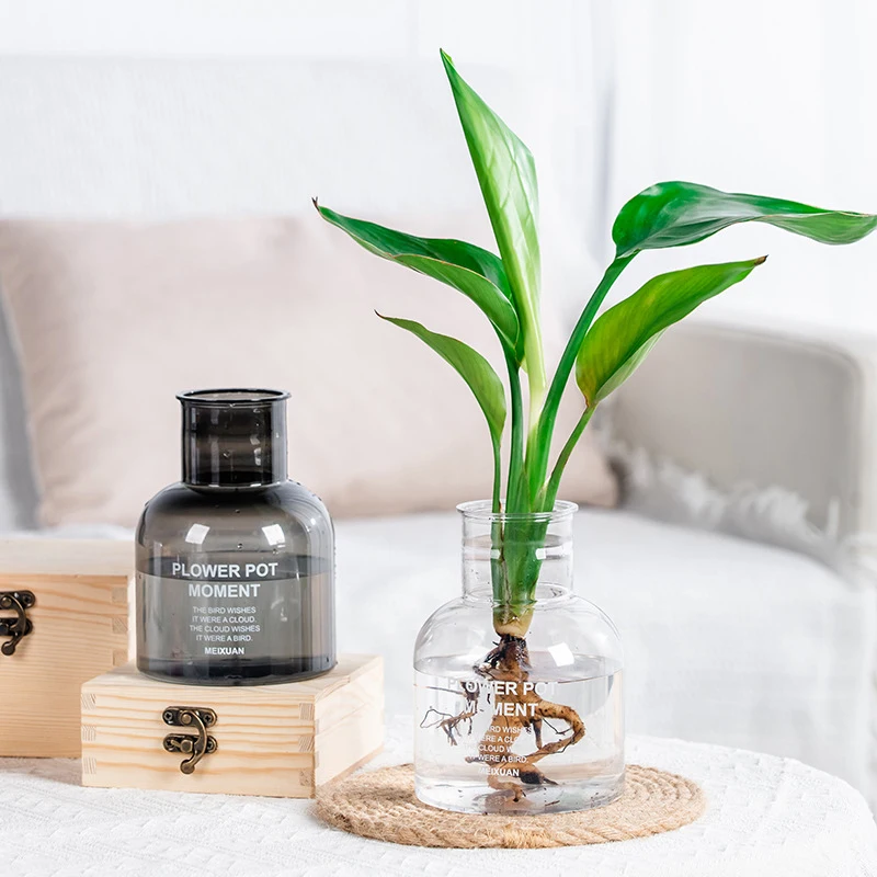 Hydroponic Plastic Flower Pot Vase Desktop Hydroponic Plant Cuttings Office Home Decoration