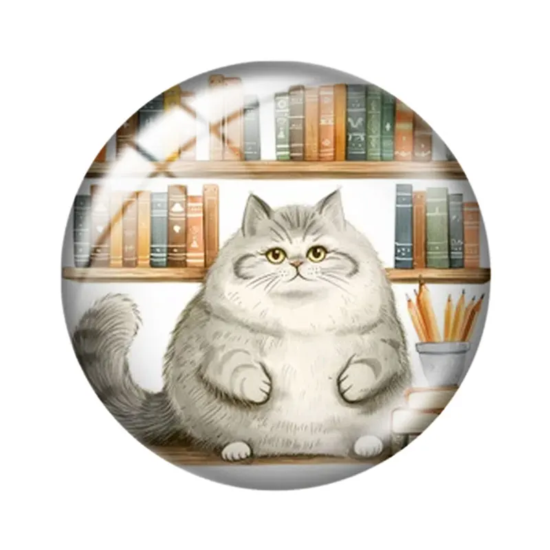 Fat Cat in a Library Clipart 12mm/16mm/18mm/20mm/25mm Round photo glass cabochon demo flat back Making findings keychain