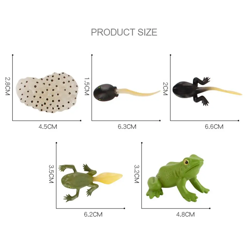 لعبة للأطفال مجموعة شخصيات حيوانات محاكاة مجموعة لعب عملية النمو