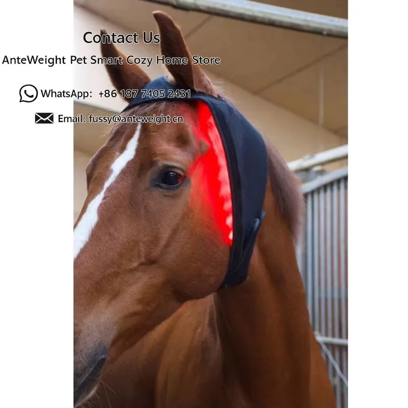 Horse head special LED red light treatment cap for veterinary use