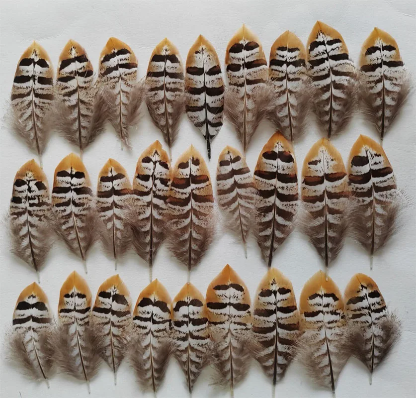 Fly Tying Materials! 10Pcs 5-9cm Natural REEVES VENERY PHEASANT SMALL WING FEATHERS for Diy Carnival Costume Mask Headdress