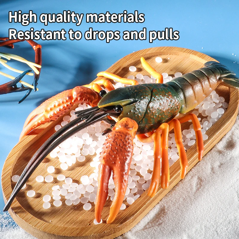 Sea Life Animals Boston Lobste - Marine Life Aquariums ulasan dan harga