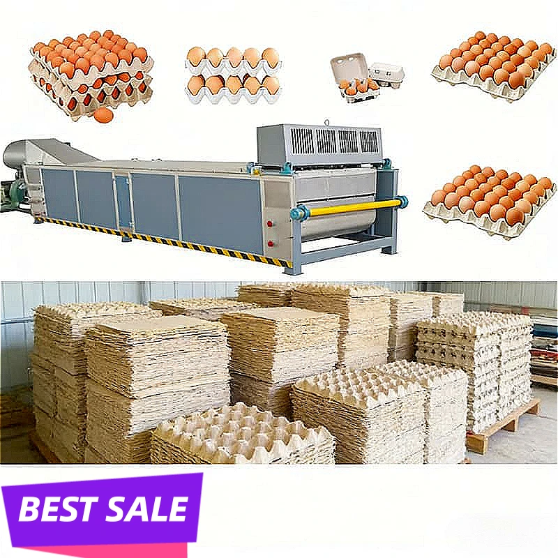 Egg Tray Production Line for Medium Farm 2000-3000pcs/h Fully Automatic Paper Pulp Molding Making Machine Customized Hot Sale