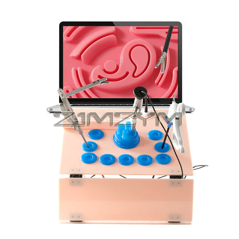 

Laparoscopic Trainer 15 Holes Laparoscopy Simulator For Abdominal Surgery Training with 10 Trainging Modules