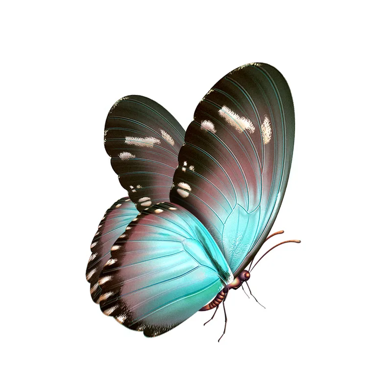 RuleMyLife  10.7CM*13.8CM Beautiful Hand Drawn Butterfly Decal PVC Motorcycle Car Sticker 11-00655