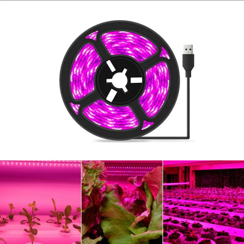 Hot-A39R-5V 5 เมตร Plant Grow โคมไฟ LED Full Spectrum Growth หลอดไฟต้นกล้าดอกไม้ Phyto โคมไฟสําหรับในร่มพืช Hydroponic