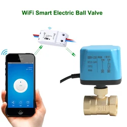 Tuya WiFi Smart Motorized Ball Valve Timing Water Smart Switch Electric Valve with Smart Life Alexa Alice Google Home AC220V