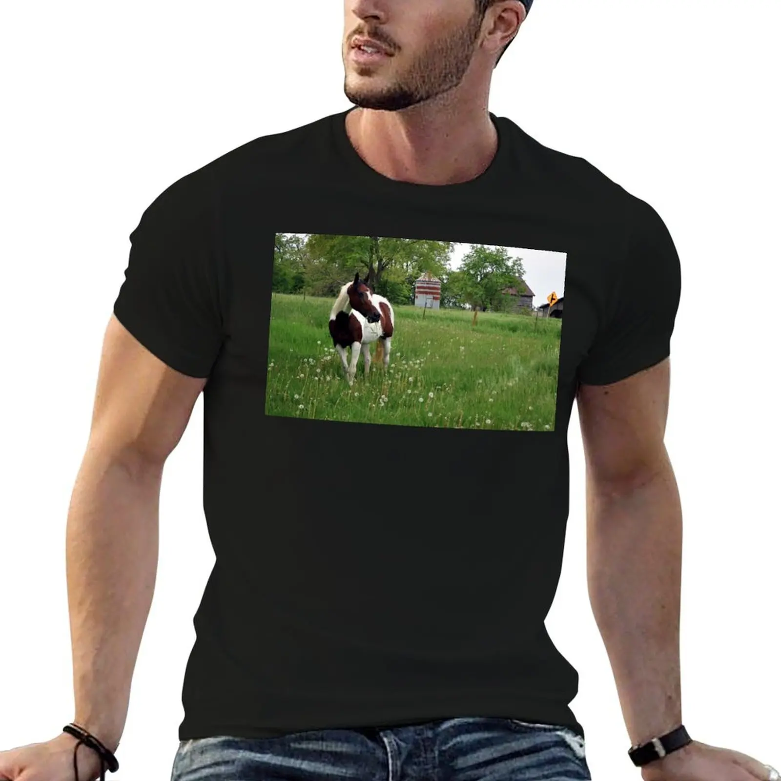 Horse Grazing In The Pasture T-Shirt sublime shirts graphic tee Aesthetic clothing mens graphic t-shirts anime