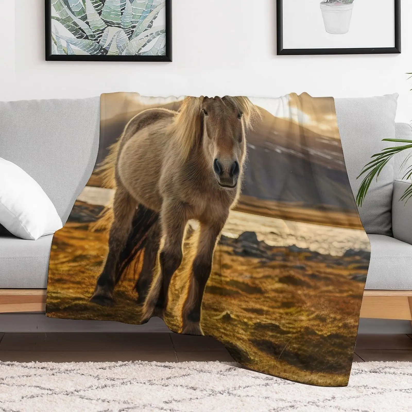 

Norwegian Fjord Horse Throw Blanket valentine gift ideas warm for winter Luxury Brand Sleeping Bag Blankets