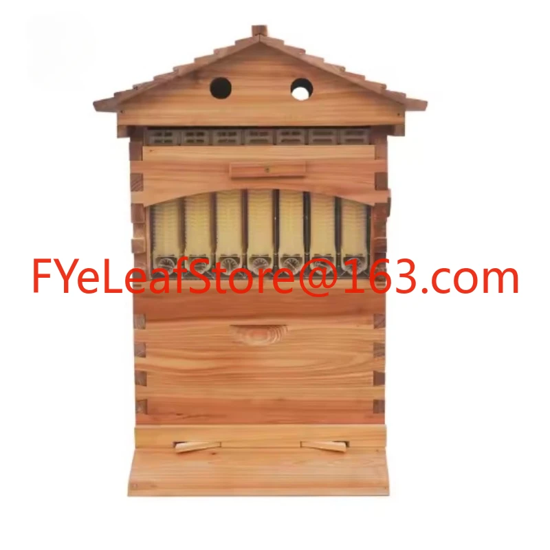 

Golden Automatic Hive 2 Beehive 7Pcs Box Flows Frame
