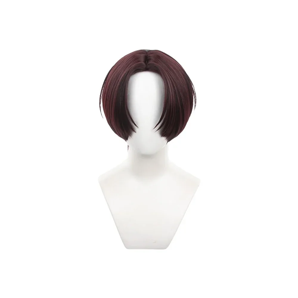 Synthetic Wig Anime Wind Breaker Hayato Suo Cosplay Wigs Heat Resistant Synthetic Hair Festival Carnival Props Wig