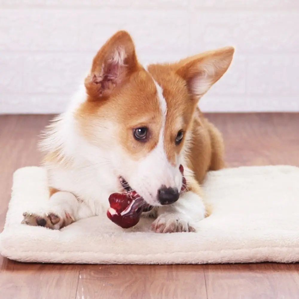 

Simulation Bone Dog Chew Toy Nylon Interactive S-shaped Chew Toys Teeth Cleaning Non-Toxic Indestructible Dog Bone Toy