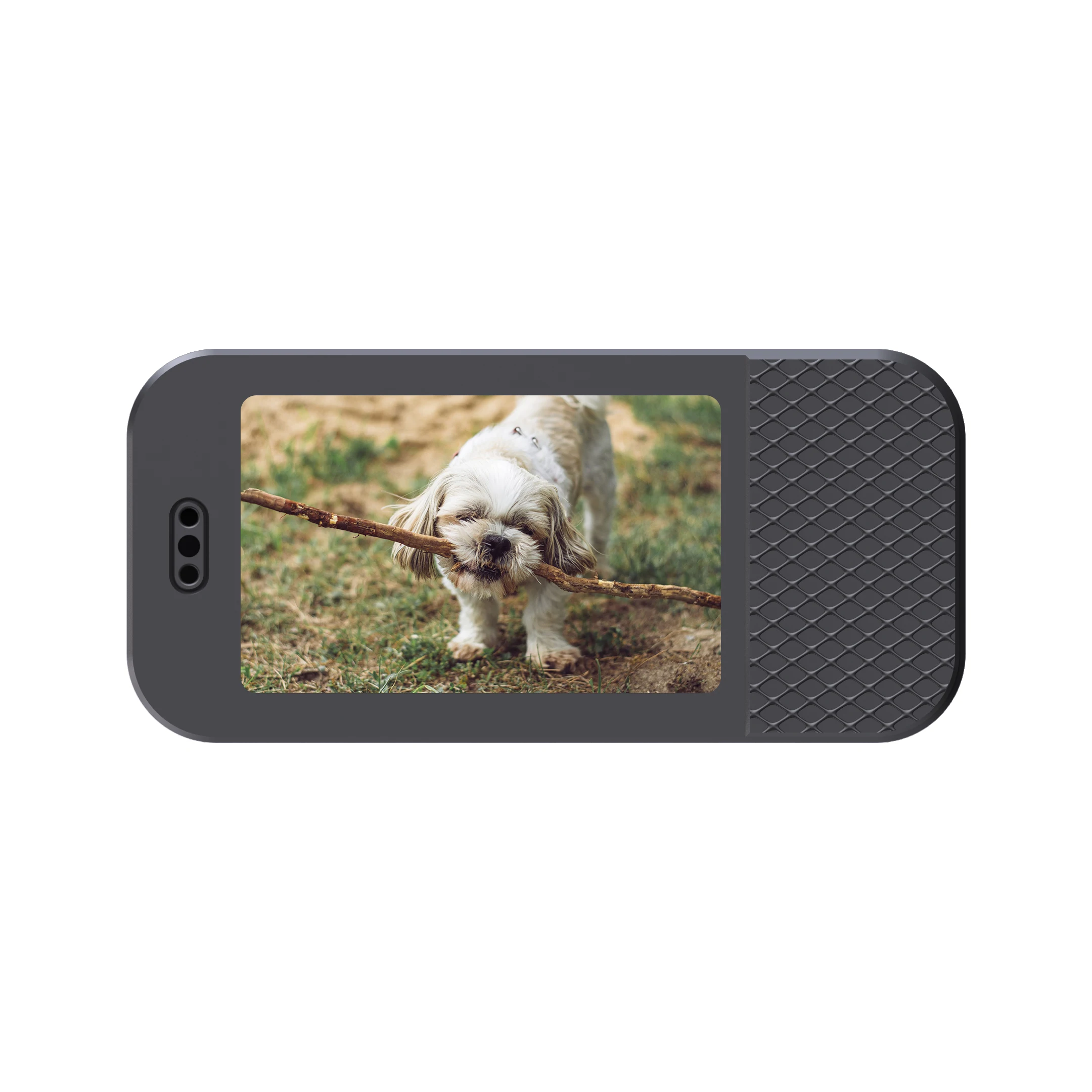 HD 1080P Pet Collar Camera Outdoors Wireless Cat Collar Camera No WiFi Needed Video Records for Cats Dogs Birthday Gift Mini Cam