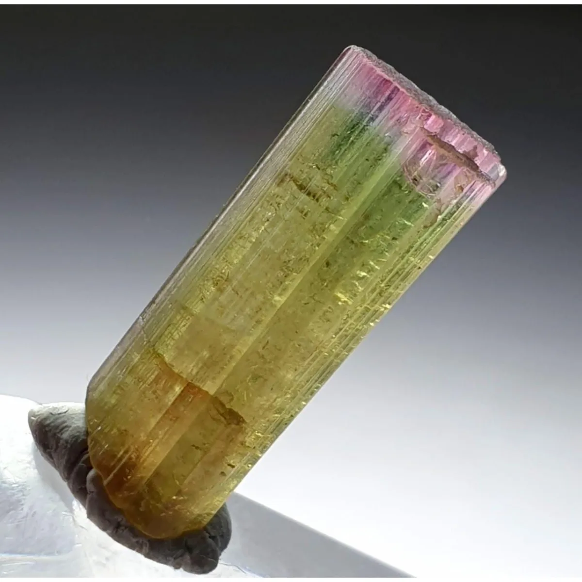 Brazilian Elbaite Crystal Specimen Pack, 10g 5-15mm Rainbow Mix, Display Box for Home Decor & Rock Collection Display